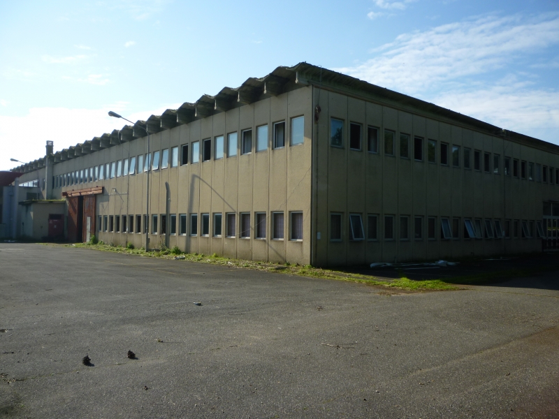 P1010983.JPG