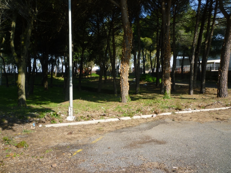 P1010979.JPG