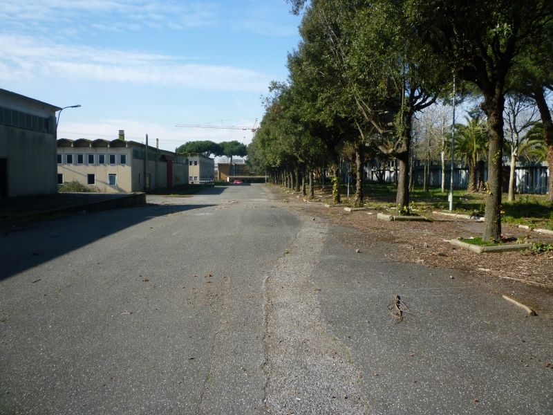 P1010977.JPG